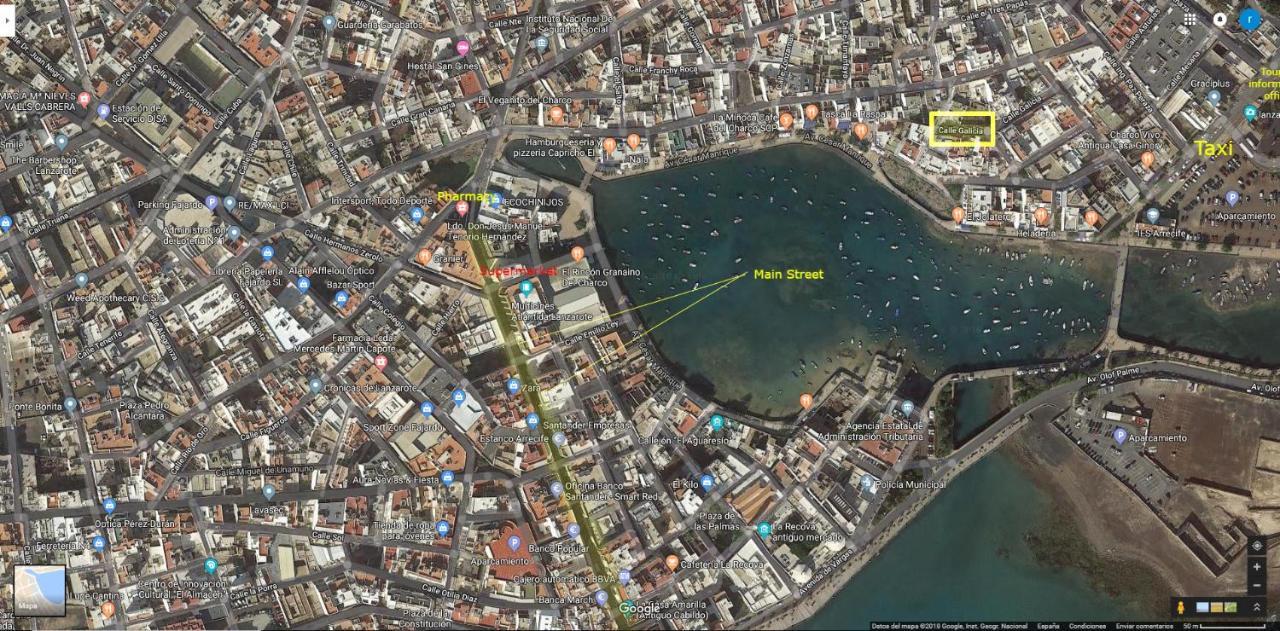 Estudio Del Pescado En El Charco Arrecife  Luaran gambar